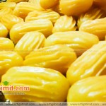 tollumba-receta-gatimit-food-dessert-tradicionale-embelsira-a