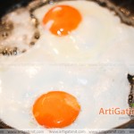 gatimi-veze-te-ziera-syth-tigan-gjalpe-receta-shqip-shkarko-pdf-book