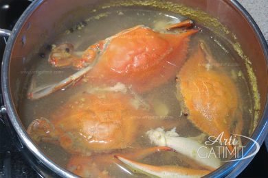 Rrepa turshi - Arti Gatimit